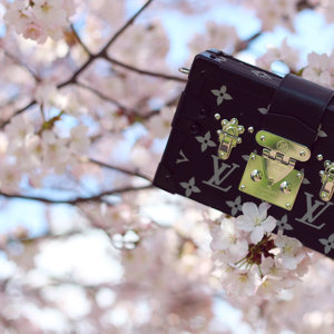 FIRST SIGNS OF SAKURA! And an other deal shot from my lovely LV bag : http://jenniferbachdim.com/2015/04/26/first-signs-of-sakura/ #LouisVuitton #PetiteMalle