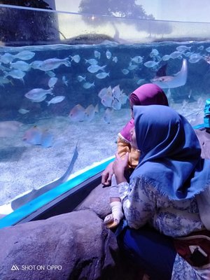 Hari ini Ade Zahra jalan2 ke Jakarta aquarium 💖#jelajah #ClozetteID #Clozette