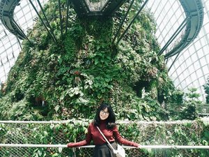 Some people told me, I look younger than my age. especially for the people who don't know me before.
Agree or not? How do you think?
Hmm...
.
.
.
#travelling #singapore #flowerdome #gardensbythebay  #travellinggram #letsgosomewhere #keepexploring #travelworld #clozetteid
