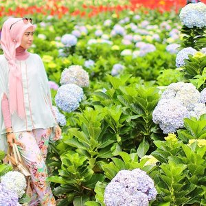 Happiness is beautiful flowers to enjoy 🌸🌺 #ClozetteId #ElhasbuTravelDiary