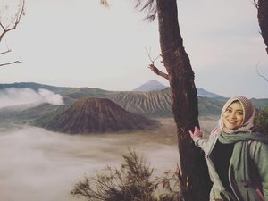 Mendadak kangen #bromomountain 💟 Semoga tahun ini bisa melihat keindahan gunung Bromo sekaligus puas-puasin traveling keliling Malang lagi. 😊 Maunya  sama keluarga sih. Ajak Darell dan Papih. Semoga ada rejeki, usia dan kesehatan ya. Aamiin 🤗😘💗 #clozetteid #travelingram #bromotenggersemeru #wishlist #throwbackthursday #indonesiaindah #hijabtraveler #andiyaniachmad #travelingwithstyle