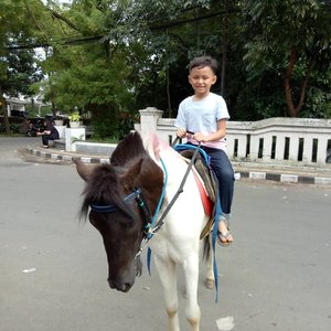 Doyan naik kuda 2 putaran si #darelladhibrata 😅#clozetteid #kidsofinstagram #kidstyle #jalanjalanbandung #socialmediamom