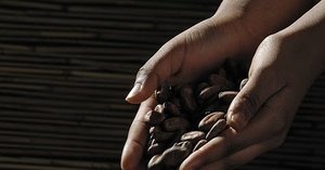 Krakakoa Cokelat Berkualitas Tinggi Dari Petani Indonesia 
