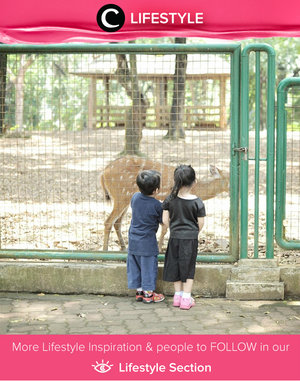 Visiting zoo and introducing the animals to kiddos. Simak Lifestyle Updates ala clozetters lainnya hari ini di Lifestyle Section. Image shared by Clozette Ambassador @diarykania. Yuk, share momen favorit kamu bersama Clozette.