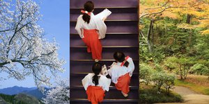 The Instagram Guide to Misugi, Japan