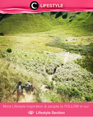 Mt. Semeru. One of the most favorite destination for hiking enthusiasts in Indonesia. Simak Lifestyle Updates ala clozetters lainnya hari ini di Lifestyle Section. Image shared by Clozette Ambassador: @leonisecret. Yuk, share momen favorit kamu bersama Clozette.