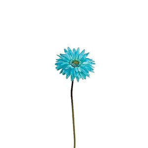The color blue is a color of peace and harmony. Dan semoga di hari nan fitri ini membawa harmonisasi penuh kedamaian bagi #Clozetters!Yuk berbagi rasa damai pada sekitarmu dengan share #OOTD atau riasanmu dalam sentuhan warna biru. Siapa tahu, kamu bisa memenangkan voucher MAP dari kami. :) #COTW #IntotheBlue #ClozetteID #FashionDaily #Fashioninspiration #blue #floral #flower #Bluefashion