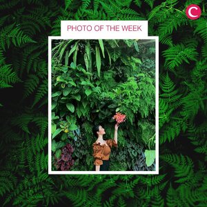 Clozette Photo of the Week

By @deahamdan
Follow her Instagram & ClozetteID Account. #ClozetteID #ClozetteIDPOTW