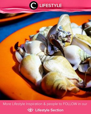 Have you ever tried this unique seafood a.k.a Gonggong? Simak Lifestyle Updates ala clozetters lainnya hari ini di Lifestyle Section. Image shared by Clozette Ambassador: @sefiiin. Yuk, sharemakanan favorit kamu bersama Clozette.