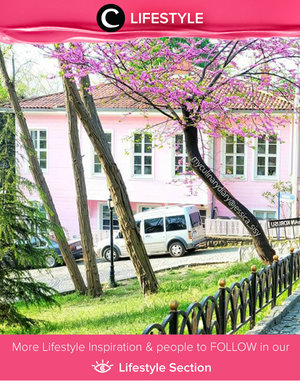 The super pretty Pink House in Istanbul. Simak Lifestyle Updates ala clozetters lainnya hari ini di Lifestyle Section. Image shared by Clozetter: @jessicasisy. Yuk, share momen favoritmu bersama Clozette.