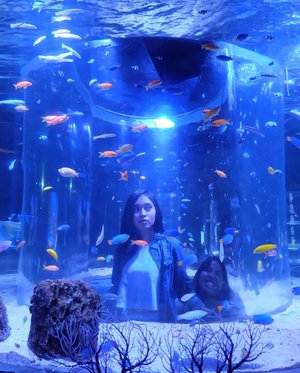 Selain ikan 🐠 ternyata di aquarium juga ada 👻 *****-📸 : @nellaindry-#jakartaaquarium #jakartaaquariumneosoho #ootd #jakartaaquariumindonesia #clozetteid #jakartahits