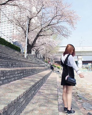 I promise this will be the very last photo about this year's #cherryblossom 🌸
Well it's been a long tiring week but nevertheless it's almost over 💪
.
.
#NatashaJS #NatashaJSOOTD #VioletBrush #clozetteid