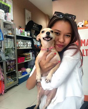 With my beautiful girl "Kontet Cantika" ❤️ instead of beauty, make up or fashion.. I also love animal especially dog, and I can't wait to adopt this adorable girls 😘 so can we papah @maxzieren ??? 😝😂😁💋 #blogger #beautyblogger #animallovers #doglover #instadog #indonesianblogger #indonesiabeautyblogger #jakarta #indonesia #indonesianlivinginbangkok #clozetteid #starclozetter #like4like