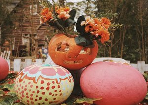 Halloween Pumpkin
🎃🎃🌻💀🍁
#clozetteID #october #halloween #pumpkincarving #vscocam #autumn #fall