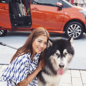 With @kenzothemalamute ♡♡ at Sienta Pop Up Playground Dog Jog, Living World😍😍😍😍 Kenzo was having so much fun inside Toyota Sienta yesterday 😄😄 @toyota.id

Check out their posts as well❤❤ :
@makeupwithselly
@miradamayanti 
@aliciaatheng 
@feliciamarcellina

#popupplayground #unlockyourplayground #mysienta #beautynesia #beautynesiaxtoyota #beautynesiamember #doglover #instadog #instadog #beautyjunkie #beautyjunkies #beautyenthusiast #makeup #makeupaddict #makeupjunkie #like4like #instafollow #instalike #instaphoto #instadaily #makeupjunkies #beautyvlogger #beautybloggerindonesia #clozette #clozetteid #indobeautygram #beautyblogger #dogsofinstagram #dogevent