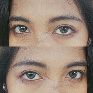 My favorite lenses so far. Mini Nobluk brown from @blacksugar.id Read the review on my blog;).#clozetteid #mininoblukbrown #blackxugardotcom #mininobluk #nobluk