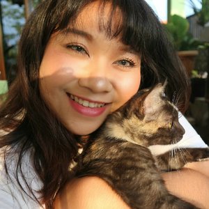 Kucingku sok sok malu sama kamera. Padahaaaal kerjaannya kalo malem kabur, buka kandang sendiri trus pulang pulang hamil. Pergaulanmu nak. Kurang kurangin lah. 
#selfie #catsofinstagram #ClozetteID #daily #beauty  #indonesian #kittens  #instacat  #🐈 #🐱 #goldenhour #yangbelangemanglebihenak #catlovers