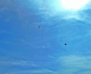 Blue sky & Skydiving team
.
.
.
.
📷 #sonyxperia .
.
.
.
.
#bluesky #sky #clouds #skydiving #langit #terjunpayung #travelerblogger #womanlifestyle #womantraveler #ritystory  #travelerlife #mytravelgram #instatravel  #instaphotoshoot #womanentrepreneur #photooftheday #picsoftheday #travelgram #clozetteid #myadventure #wanitatangguh