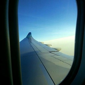 Back to home ✈✈✈✈
.
.
.
The reason birds can fly and we can't is simply because they have perfect faith, for to have faith is to have wings .
.
.
.
.
#garudaindonesia #flight #latepost #quotes #quotestoliveby #sky #onboard #onduty #flytothesky #flytothemoon #ritystrip #ritystory #clozetteid #womanblogger #travelerlife #myadventure #travelerblogger