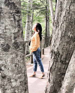 While taking a stroll in the back garden of my imaginary house. 🍃🍃🍃 JK! This is the complex of the Ginga No Taki and Ryusei No Taki waterfalls in the Daisetsuzan National Park, #Hokkaido. Swipe swipe!
.
.
In case you’re wondering, these jeans are #maternity and fit so snuggly! They are from @lcwaikiki 👖

#stylediary #clozetteid #ootd #wheninjapan #citizenfemme #prettylittleiiinspo #womenwhotravel #sheisnotlost #darlingescapes #thetravelwomen #thetravellersfemale