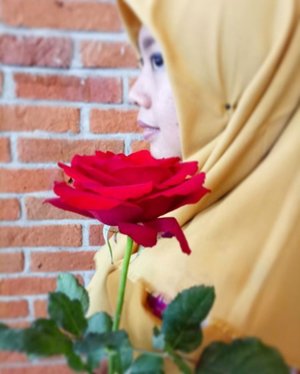 吃醋是因为喜欢
生气是因为在乎
发呆是因为想念
伤心是因为不想失去
。
。
。
。
#gayagie #clozetteid #mandarinquotes #instaquotes #hijabstyle #roseflower #rose #毛 #lifeisnevaflat #lifestyleblogger #latepost