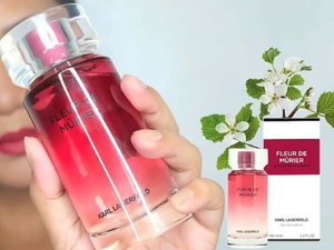 🌵
NEW!!! Satu lagi variant parfum baru dari Karl Lagerfeld yg sudah launching di Indonesia. Fleur de Murier EDP for Woman.
🌵
Wanginya manis, sexy, seger. Love! Enakkkk bgt. Botolnya simpel. Tutupnya dr plastik, jd ngga begitu berat. Di Indonesia baru ada yg 100 ml, but maybe soon akan hadir jg yg 50 ml'nya.
🌵
Thank you @luxasia_id 😍😍😍.
🌵
#parfumreview #luxasia #luxasiaid #fleurdemurier #karllagerfeld #karllagerfeldparis #clozetter #clozetteid #clozettedaily #parfum #parfume