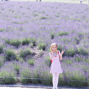 Furano Lavender Farm , Hokkaido Trip:
Miharujulie.com

#clozetteid #sapporo #hokkaido #japan #japantravel #japantrip #jalanjalankejepang #ig_hokkaido #furano