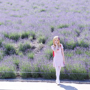 Lavender farm Furano, Hokkaido
Dress @comicou ..
#clozetteid #clozettexairasia #klfwrtw2016
#furano #hokkaido #photography #japan #kawaii #fashion #fairykei #instadaily #hokkaidolikers #ig_hokkaido #japan_daytime_view #japantrip