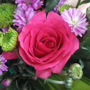 Fresh flower.. 🌼🌼 #rose #flowerpower #flowers #pink #clozetteid #starclozetter