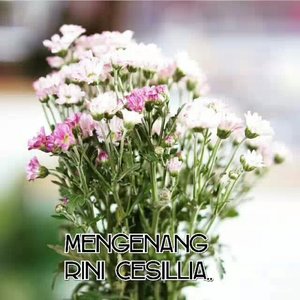 Walaupun aku tak mengenal @rinicesillia secara pribadi.. Aku turut berduka atas kepergian ny.. 😭😢 #slideshow #riprini #myfriend #beautyblogger #clozetteid #starclozetter #beautybloggerindonesia #bloggerberduka