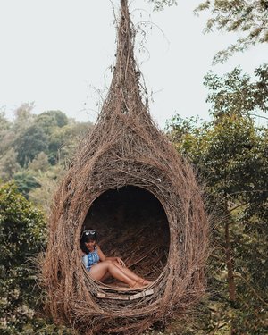 Can't wait to live in a treehouse 🌴🌴🌴
.
.
.
.
.

#bali #balilife #lifeinbali
#travel #vscocam 
#vsco #nomad #digitalnomad #girls #likeforlike #like4like 
#likeforfollow #like4follow #traveller #wanagiri #tree #treehouse #travelblogger #travelgram  #clozetteid #girlaroundworld #nomadgirls #thebalibible