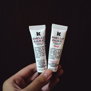 Cheers to Kiehl's Lip Balm #1 for keeping my lips moist through dry wind and cold weather nowadays! 🍻
It's so good that I need to order the Original one for a backup, although I wish that the tinted version haven't discontinued yet *deepsigh*
One minus side though; I hate the tip, it's impossible to apply it directly to the lip so I need to use my finger.
Dear Kiehl's, make them with slanted tip like the tinted/SPF version, please!
#kiehlsid #kiehls #kiehlslipbalm #beautyreview #skincarejunkie #clozette #clozetteid