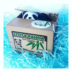 팬더 🐼🌹
•
•
#팬더 #panda #cute #vcocam #happy #thrusday #putihitem #blue #beauty #clozetteID