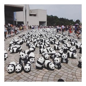 This my dream, and I will make it happen... 🐼🐼 #clozetteID #panda