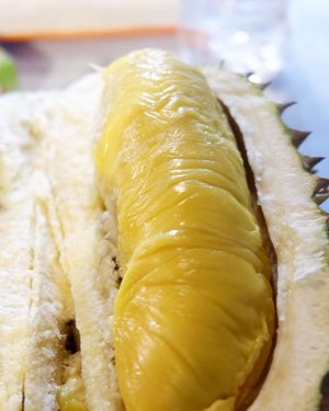 King Fruit, karena penasaran sama durian nya upin-ipin Musang King tapi akhirnya menemukan durian yang satu ini pas jalan-jalan tengah malam di Alor
.
.
#timetravel #wheninmalaysia #youdeservetobehappy #holiday #shortescape #workwithhappy #playwithhappy #neverstopplaying #dearbeautylove #clozetteid #zilingoid #foodies #foodporn #foodphotography #foodgasm #changedestiny #daretobedifferent #borntolead #ajourneytowonderland #like4like #february #2019