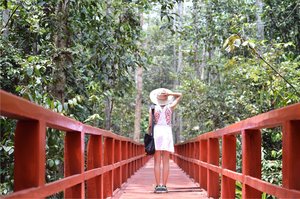 wanderlust.
#trip #traveling #letsgetlost #hutanpalawan #explorebangka
