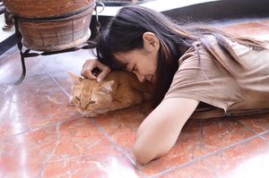 Pagi-pagi, belum mandi, dan ngricuhi kucing @khalilibrahiiim 😂😂😂
Poor kitty 😿😿😿
#cat #catsofinstagram #thisislove #notbully 😙😙😙 #clozette #clozetteid
