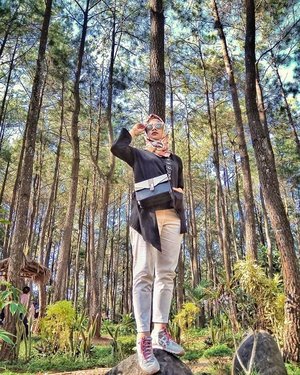 In the middle of the beauty of Pine forests...............#clozetteID #LYKEambassador #Blogger #indonesianblogger #beautyenthusiast #FashionEntusiast #BeautyLovers #FashionLovers #LifeStyleBlogger #beautyblogger #indonesianbeautyblogger #indonesianfemaleblogger #femaleblogger #indobeautyblogger #like4like