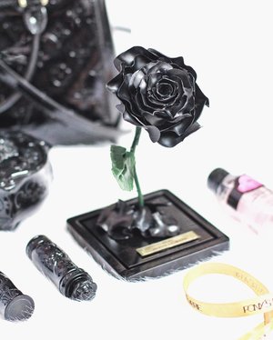 The most elegant everlasting rose 🖤 by @ponysreverie It has my name on it!#flowerclay #clozetteid