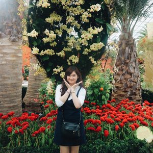 Strolling around Flower Dome 🐾🌸
.
.
.
#ootd #fashion #blogger #clozetteid #starclozetter #styleblogger #lookbookindonesia #ggrep #ggrepstyle #ootdindo