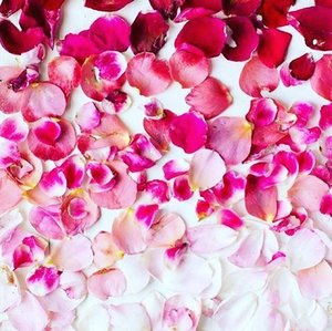 5 Beauty Products bertema rose
Ada di @moeslemacom 
https://moeslema.com/2540
🌹🌹🌹🌹
Pict from #pinterest
#clozetteid #rosepetals #skincare #wishlist