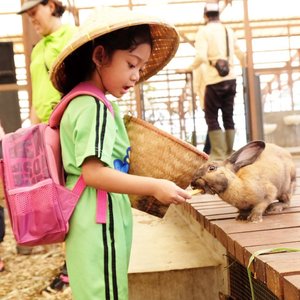 She looked like talking to the rabbit, hahaha. Rabbit hayuk aaaaaaam.. 😂😂😂..#clozetteid #nayandraalishalatief #starclozetter #lisnamotret #terfujilah #fujifilm_id #fujifilmxt1 #xt1 #fujifeed #kidsofinstagram #instakids #cutekids #farmfield #kidsstyle #kidsboots #farmhousestyle #swag #swagbaby #feedinganimals #pettingzoo #pettingfarm #kuntumfarmfield #naturalintelligence