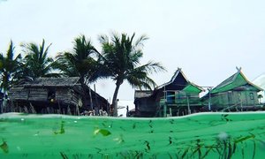 Underwater Pulau Sagori, Sulawesi Tenggara 🌊🌊🌊.
#sulawesitenggara #pulausagori #pulaukabaena #instalike #travelgram #travelling #travelblogger #indonesia #clozetteid #clozetteambassador #travel #traveller