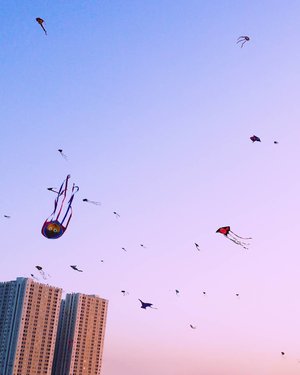 Anger.
You only need one anger to take your self down.
From Surabaya Internasional Kite Festival 2017
#anger #down #dragonfly #skyporn #sunset #twilight #city #surabayakitefestival2017 #surabayainternationalkitefestival2017 #exploreSurabaya #kitefestival #kite #layanglayang #event #lifestyle #photooftheday #pictureoftheday #surabaya #wonderfulIndonesia #pesonaIndonesia #travel #traveling #traveler #clozetteid #instanusantara