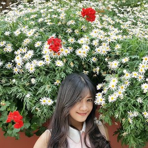 This is the moment when I need you most, guys :(
Bismillah~
I hope I 'still' can blossom like the flowers behind me :)
Selfie via #samsung #GalaxyS6

#flowers #gardensbythebay #Singapore #blossom #red #white #trip #travel #traveling #faceoftheday #selfie #latepost  #clozetteambassador #clozetteid @clozetteid