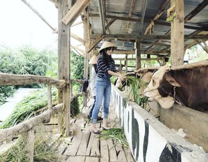 Weekend farming 🐰👯🐰#farming #cow #animal #animallovers #sapi #cikerai #cilegon #villaternak #villaternakcikerai #wonderfulIndonesia #pesonaIndonesia #lifestyle #weekend #farm #cage #caping #hat #ootd #sotd #jumpsuit #denim #stripe #fashion #photooftheday #pictureoftheday #clozetteid #clozetteambassador