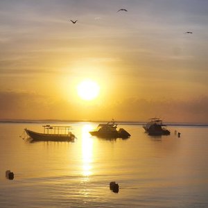 Rise and fly as high as you can~🕊🌝🕊
Sanur Sunrise 😍😍
#Sanur #Sunrise #birds #fly #boat #silhouette #beach #sea #Semawang #Bali #PesonaIndonesia #exploreBali #sky #skyporn #nature #naturelovers #travel #traveling #traveler #photooftheday #pictureoftheday #lifestyle #clozetteid