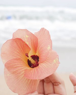The perks of being wild flower. She's growing freely in the beauty and joy of each day.🏵
#flower #wildflower #beauty #kuta #beach #bali #lifestyle #wave #nature #naturelovers #photooftheday #pictureoftheday #clozetteid