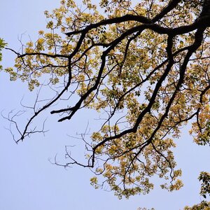 Incredible change happens in your life. When you decide to take control of what you do. Have power over instead of craving control over what you don’t........#clozetteid #beautifulmatters #shotbystevie #style #nature #tree #art #exploretocreate