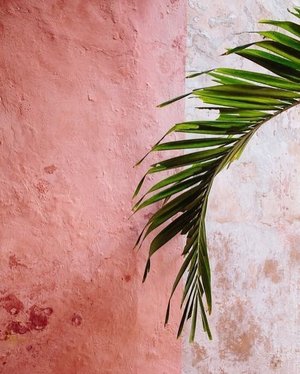 Bricks and walls they share your secret tale 🤫 // picture credit #pinterest ....#pink #aesthetic #wall #clozetteid